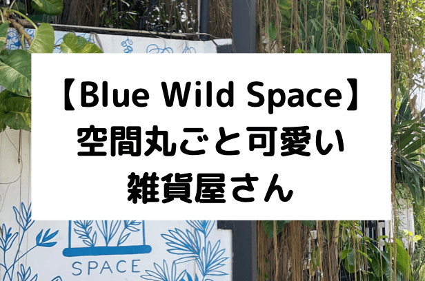 【Blue Wild Space】空間丸ごと可愛い雑貨屋さん